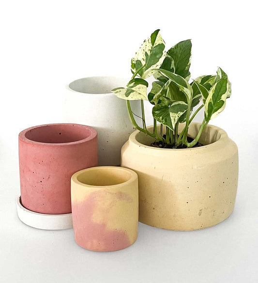 How to Care for Concrete Pots