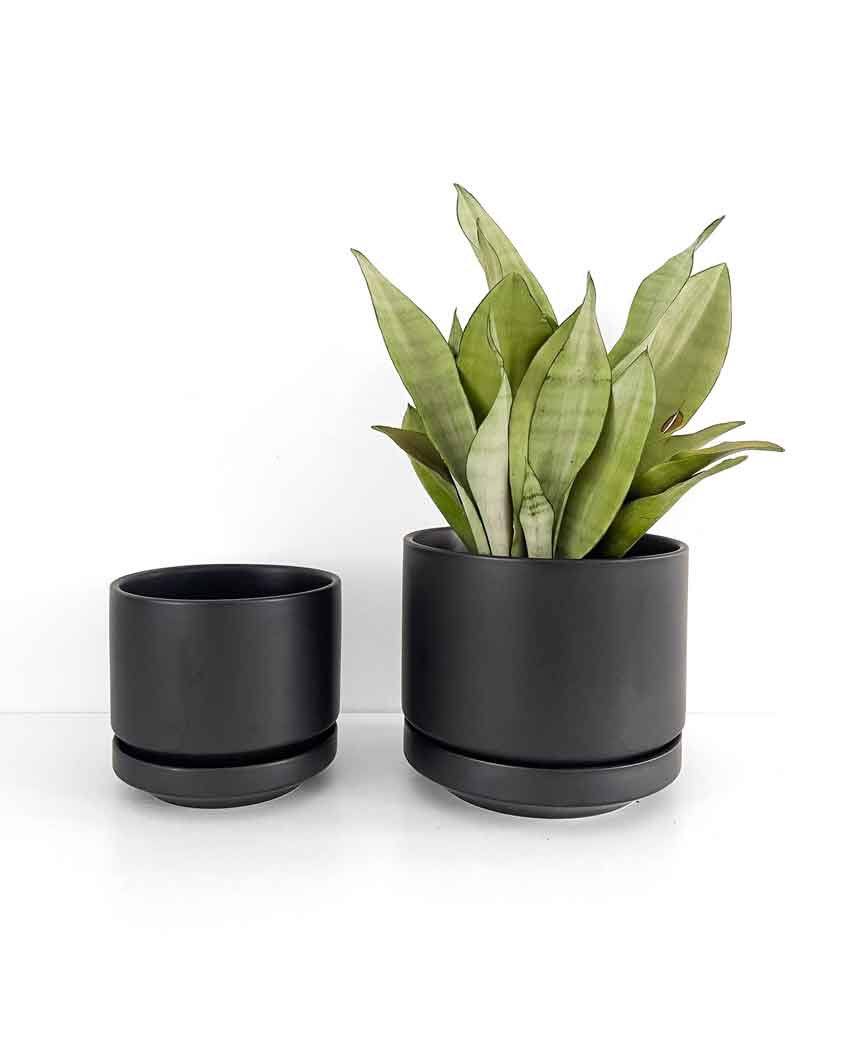Black Indoor Plant Pot