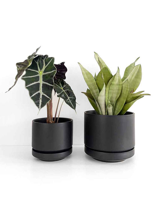 Black Indoor Plant Pot