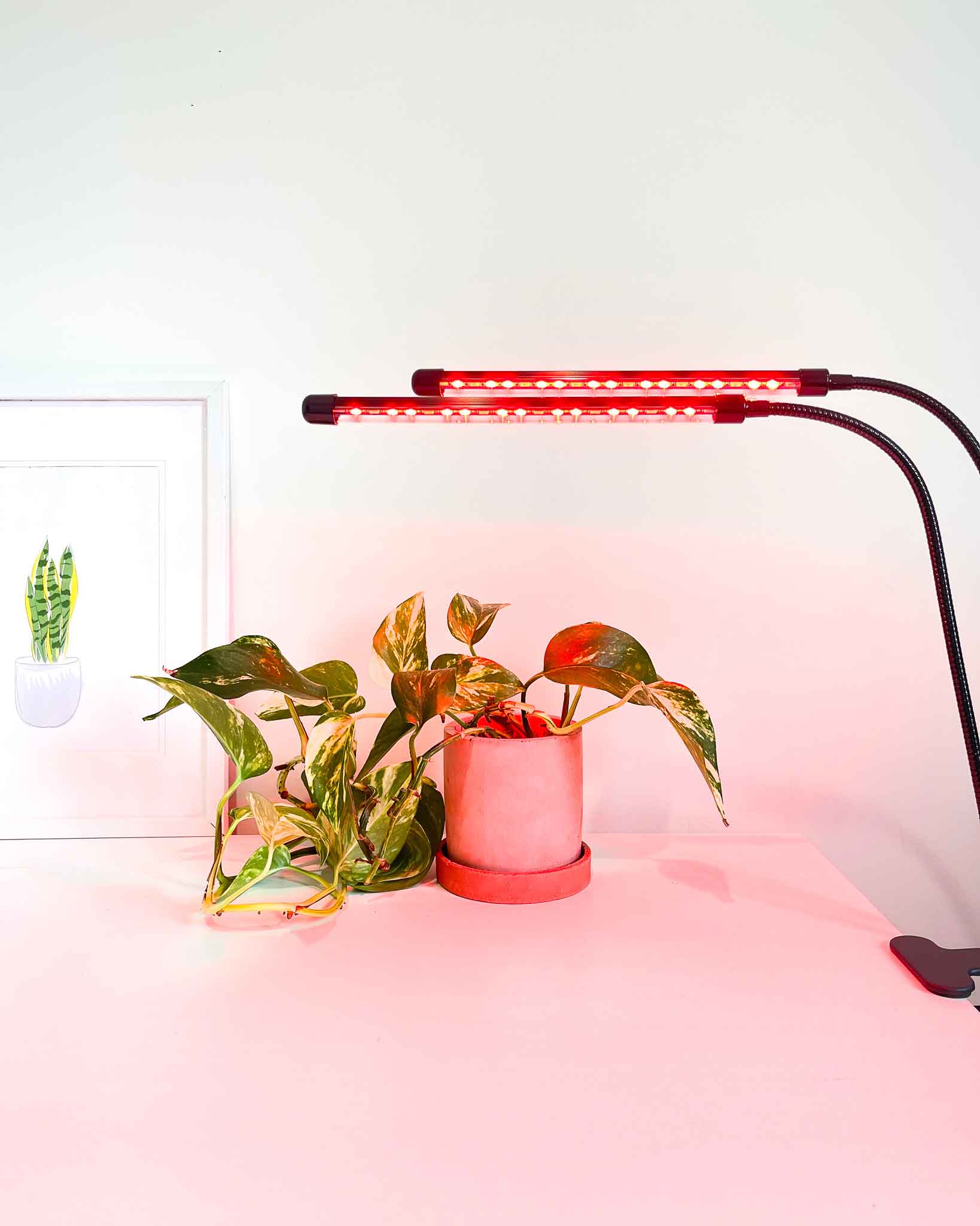 red LED plant grow light