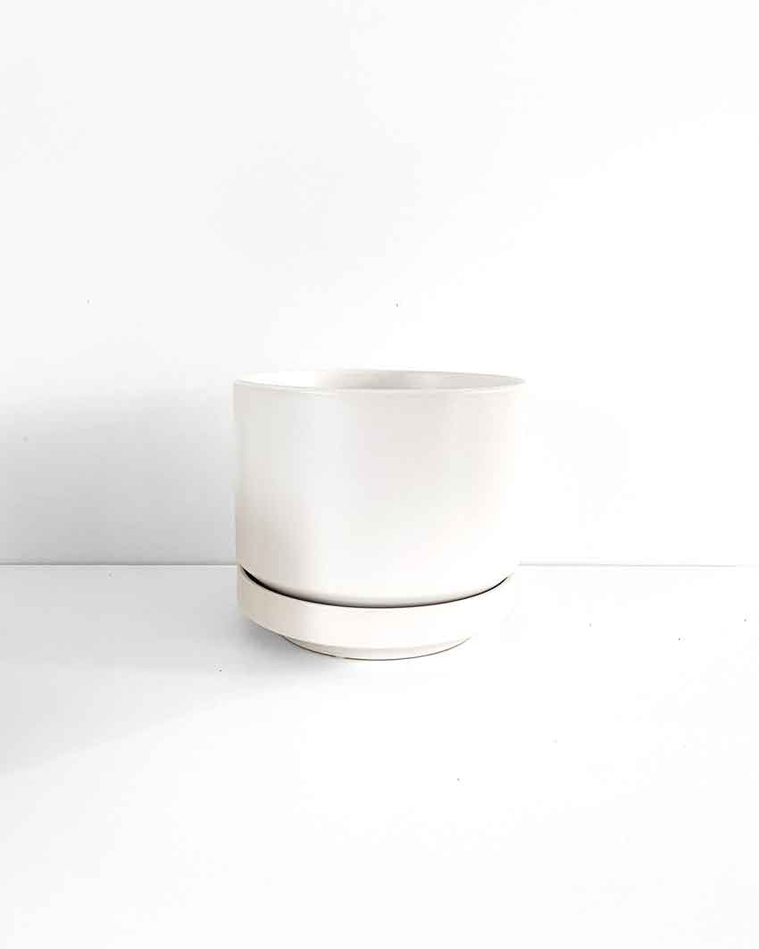 White Indoor Plant Pot