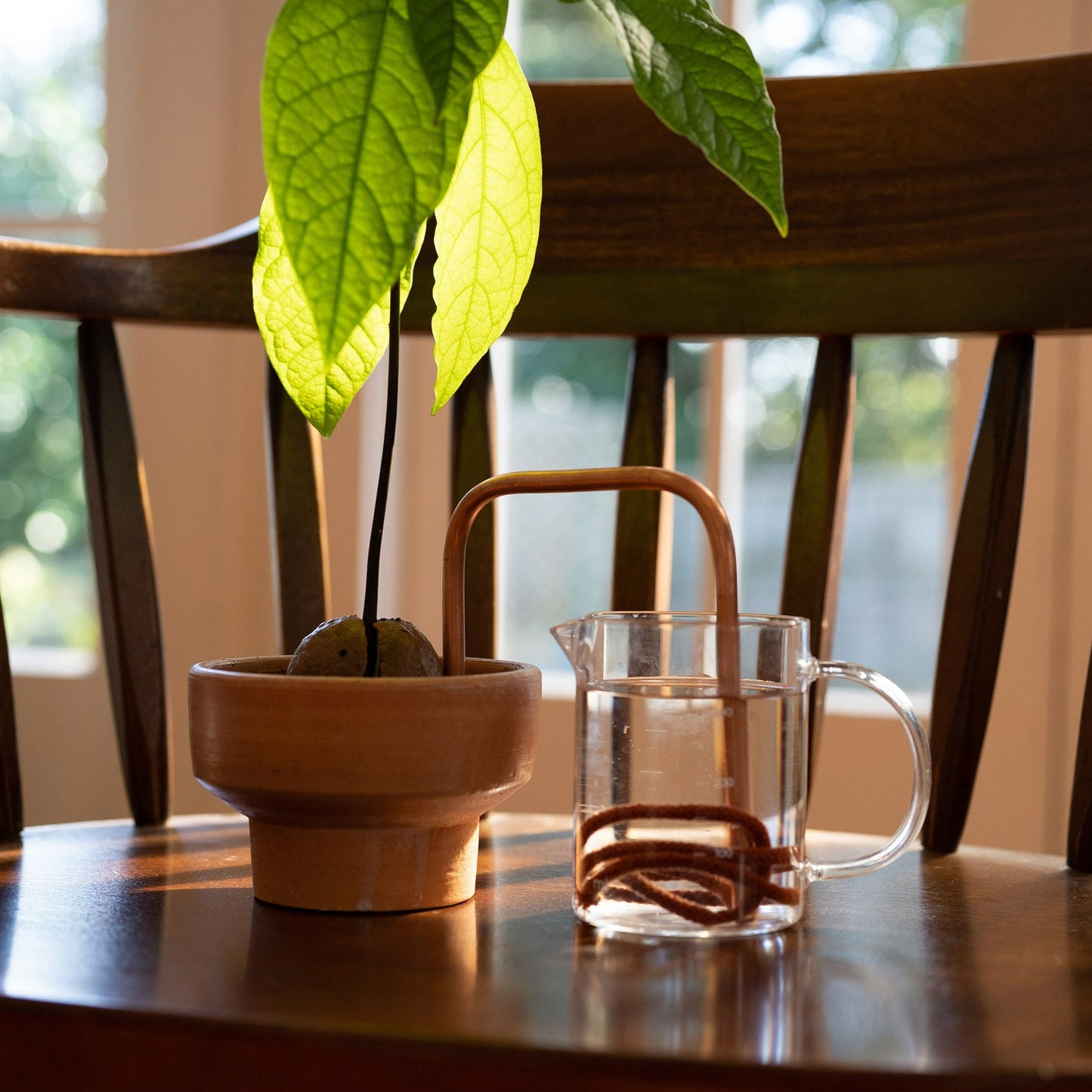 Plant Self Watering System