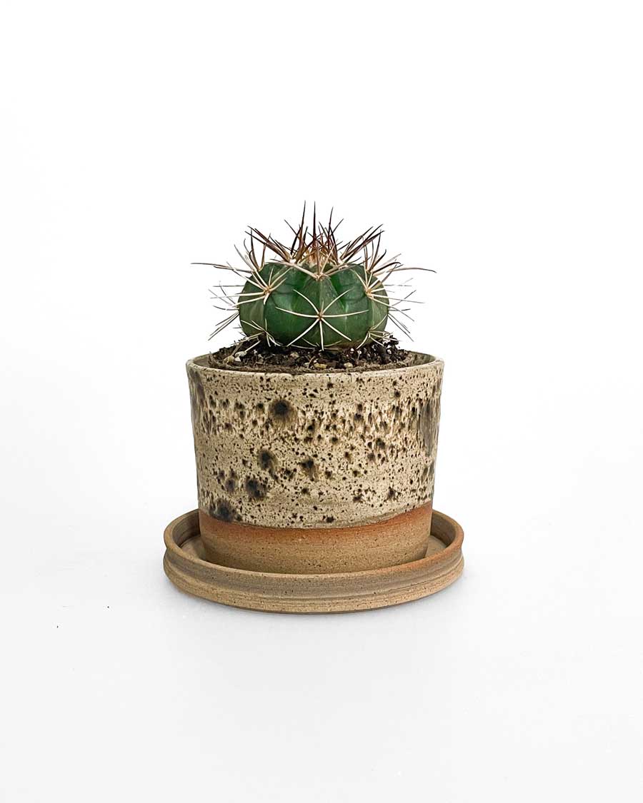 Mottled Ceramic Plant Pot