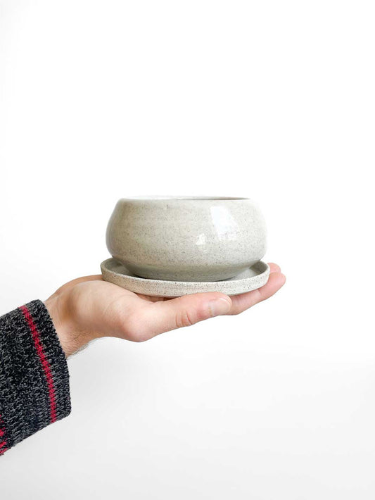 white ceramic pots nz