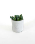 Small Grey Plant Pot